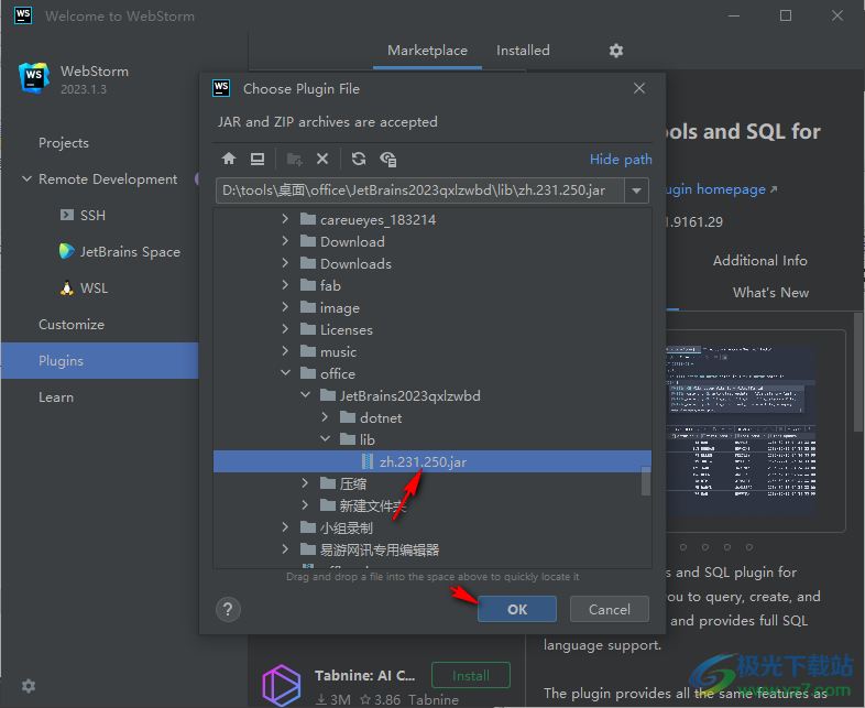 WebStorm2023中文语言包