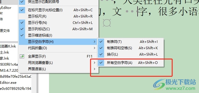 ​editplus文本按下空格出现圆点的去除教程