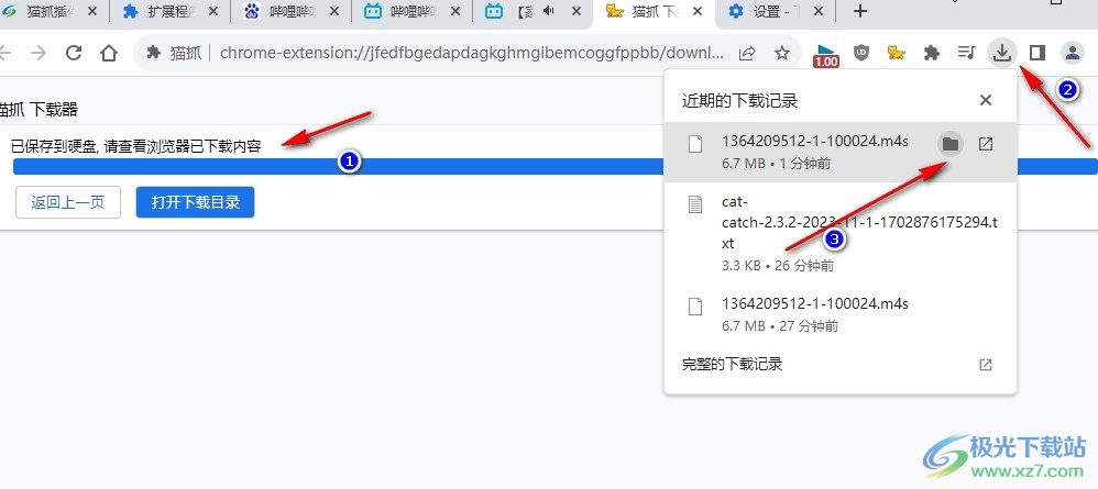 谷歌浏览器下载网页视频的方法