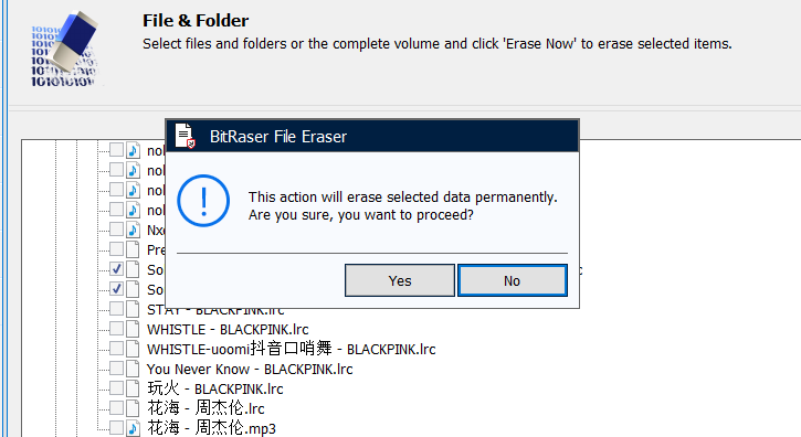 BitRaser File Eraser(数据安全擦除工具)(1)