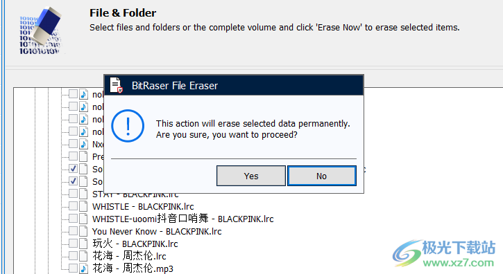 BitRaser File Eraser(数据安全擦除工具)