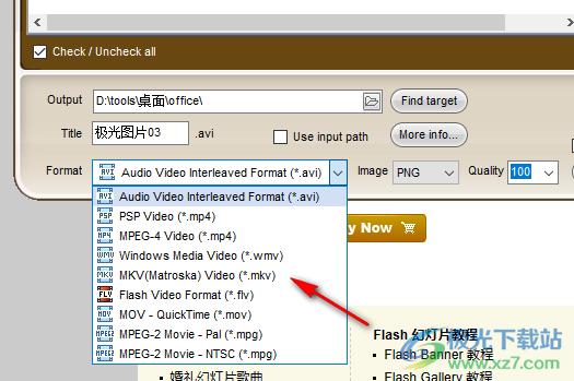 iPixSoft GIF to Video Converter(GIF转换视频)