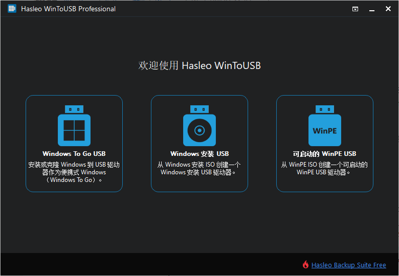 WinToUSB Pro(启动盘)(1)