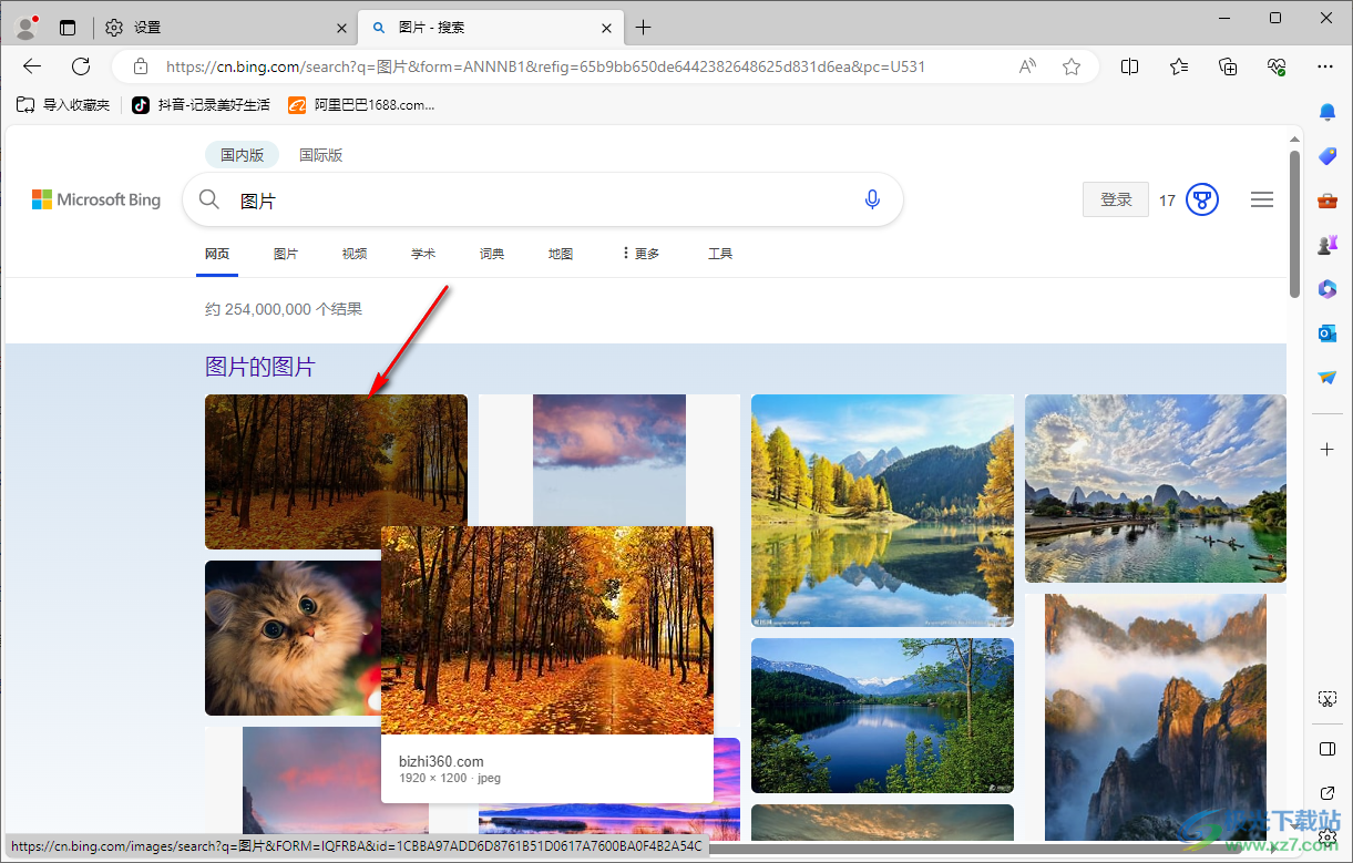 edge浏览器在边栏中使用必应搜索图像的方法