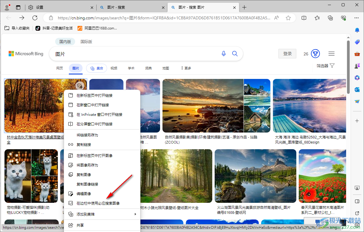 edge浏览器在边栏中使用必应搜索图像的方法