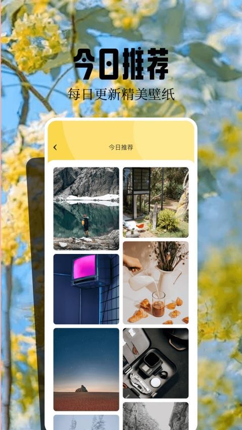 魔秀壁纸app(3)