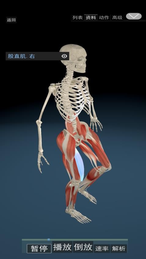 3D动态解剖软件v1.70(1)