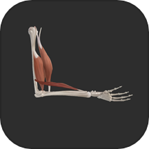 3D动态解剖软件 v1.2安卓版