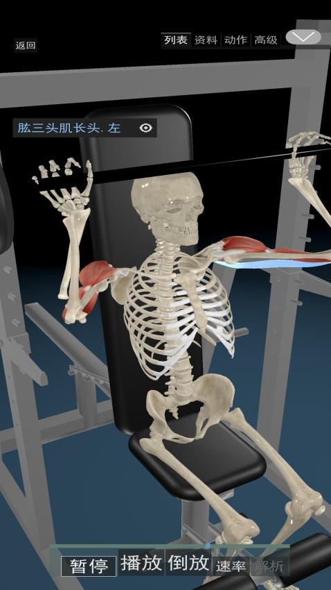 3D动态解剖软件v1.70(2)