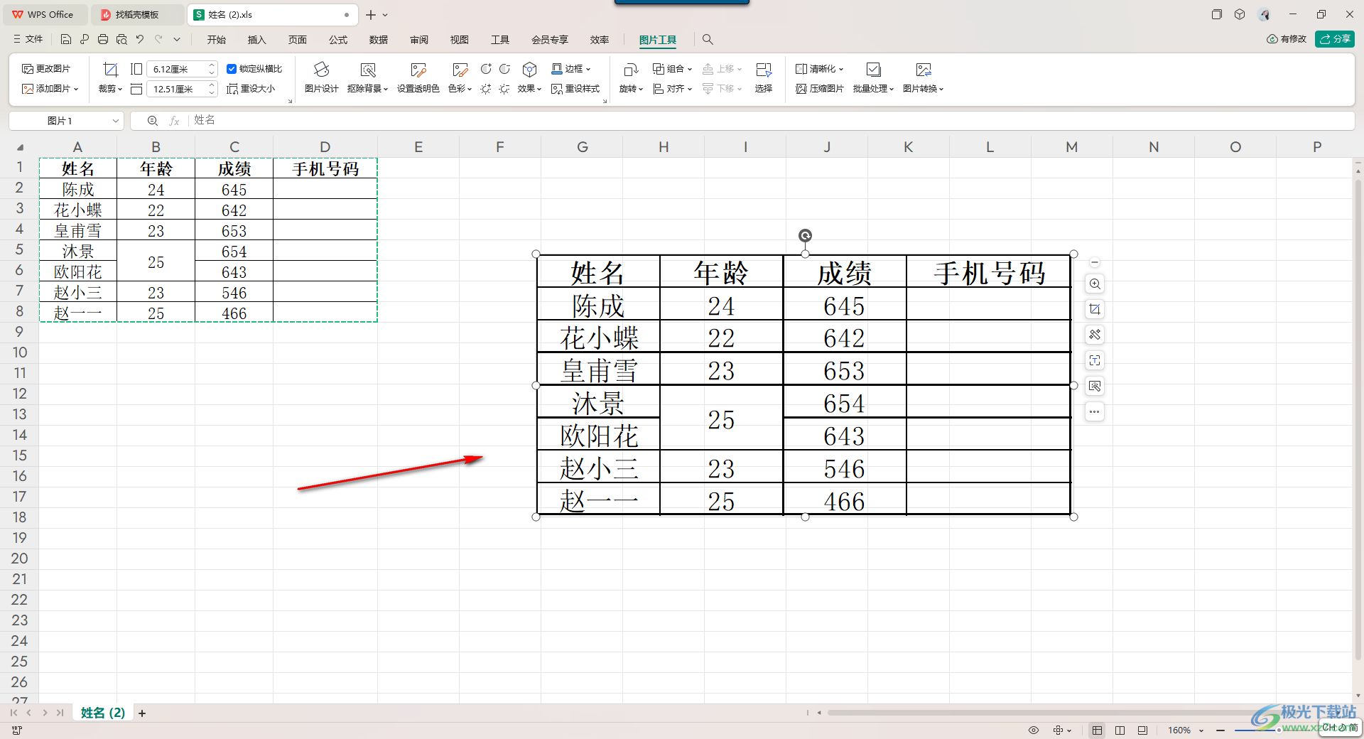 WPS中Excel把选中的单元格变成图片的方法