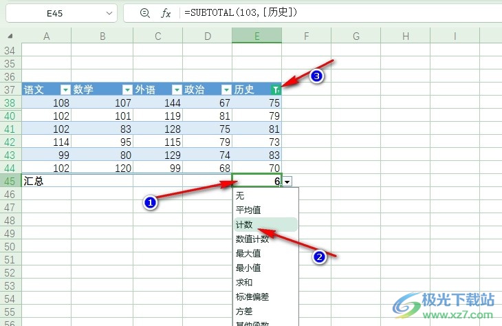 WPS Excel表格筛选的时候显示个数的方法