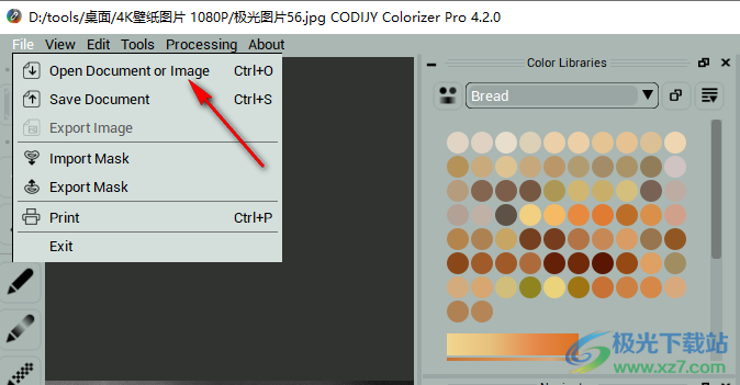 CODIJY Colorizer Pro(老黑白照片着色器)
