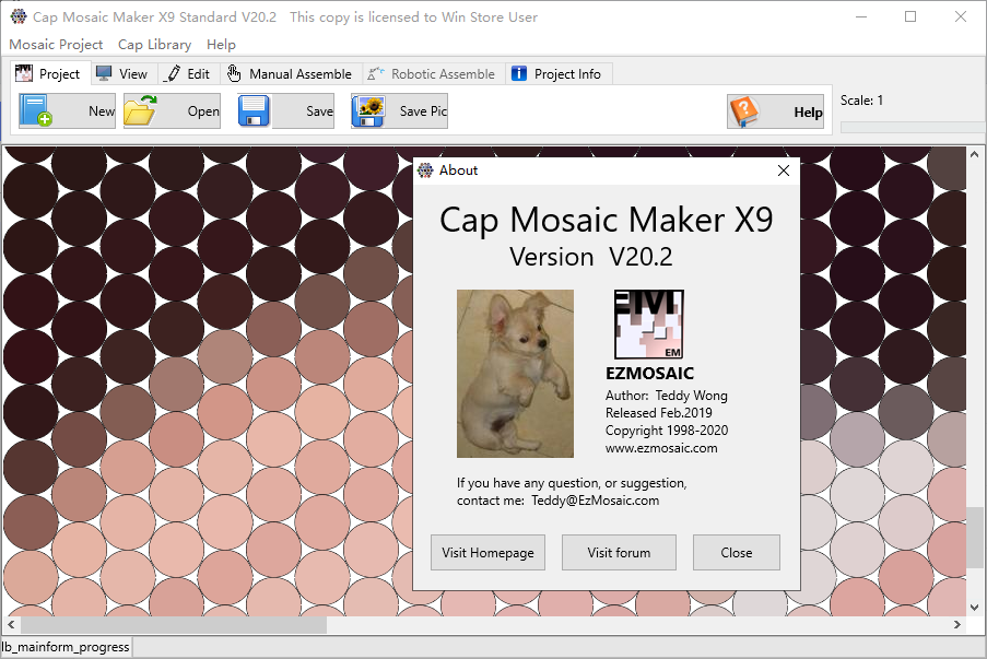 Cap Mosaic Maker X9 Standard Edition(帽子马赛克制作设计工具)(1)