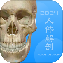 人体解剖学图谱免费版 v1.2安卓版