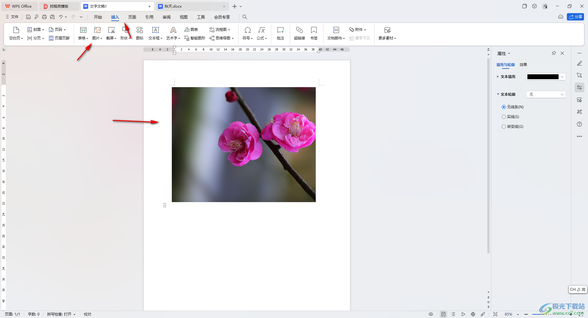 WPS Word文档设置图片为黑白的方法