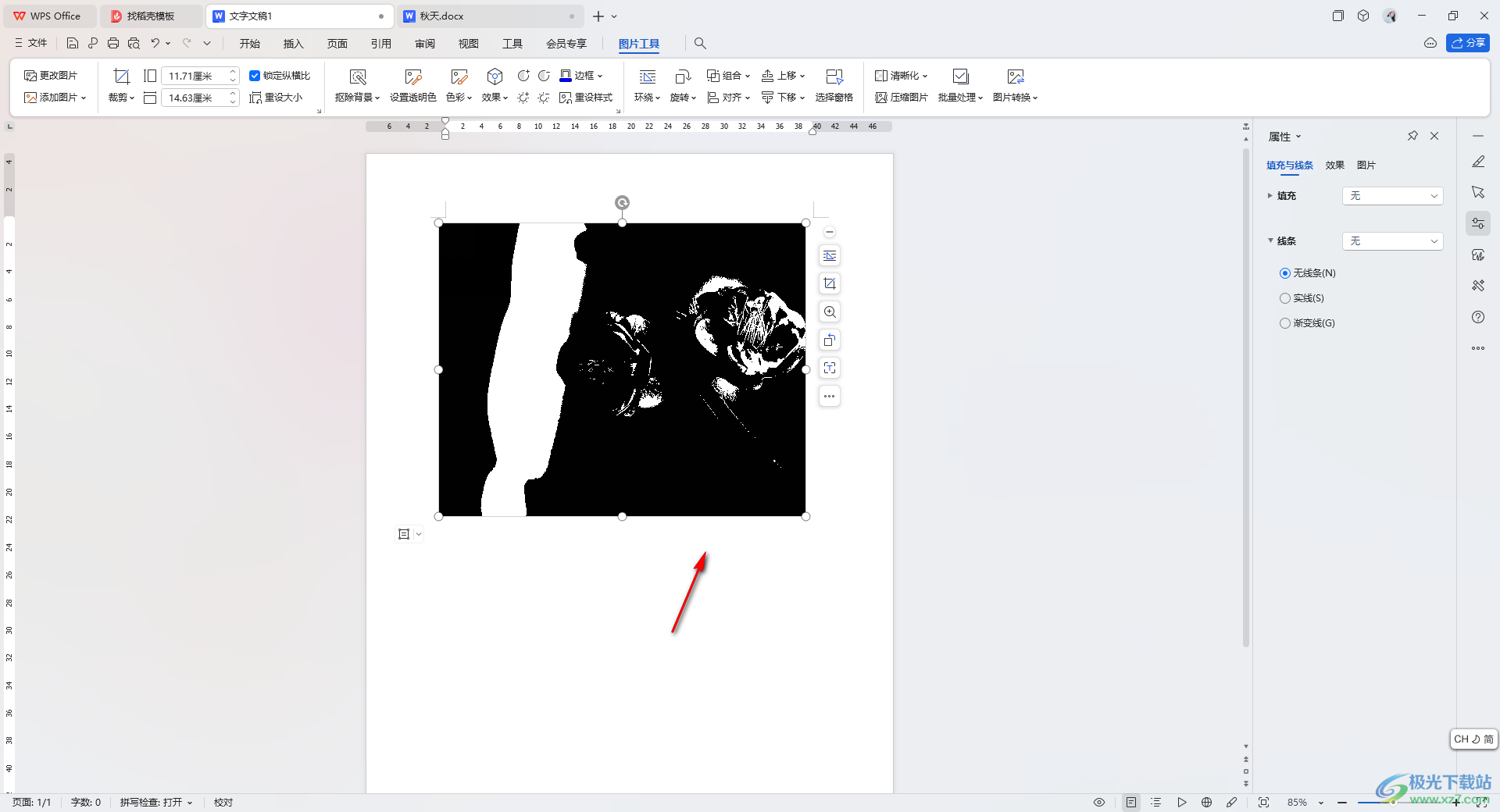 WPS Word文档设置图片为黑白的方法