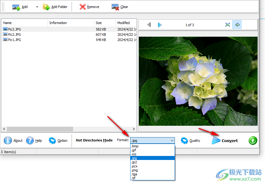 Boxoft Image Converter Pro(图片格式转换器)