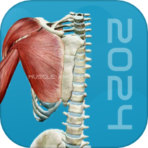 3D肌肉解剖软件 v1.1安卓版