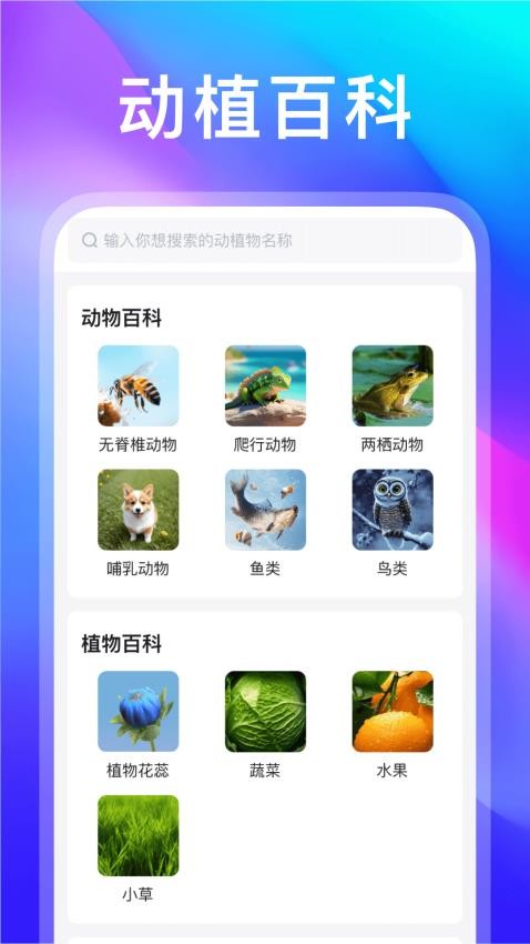 動物世界最新版(2)