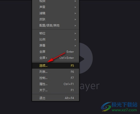 PotPlayer设置仅在英语时使用实时字幕翻译功能的方法