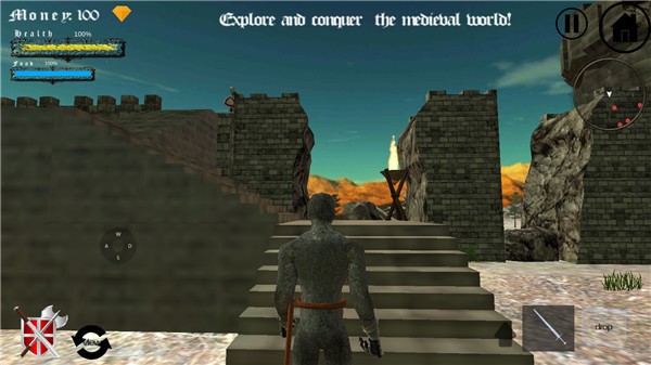 中世纪生存世界(5)