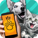  Animal translator v1.1 Android