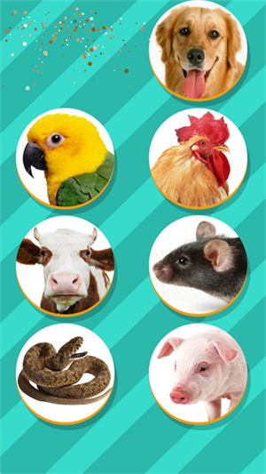 Pet Translator(2)