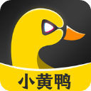 小黄鸭app最新版v1.2