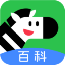 斑马百科app 1.26.0安卓版