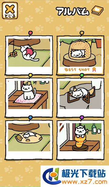 猫咪后院手机游戏(3)
