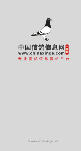 中国信鸽信息网手机版(1)