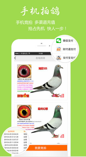 中国信鸽信息网手机版(3)