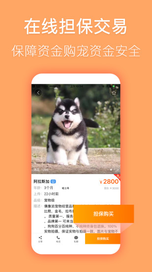 宠物市场appv7.4.0(2)