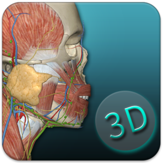 人体解剖学图集pc端 v3.9.9 最新版