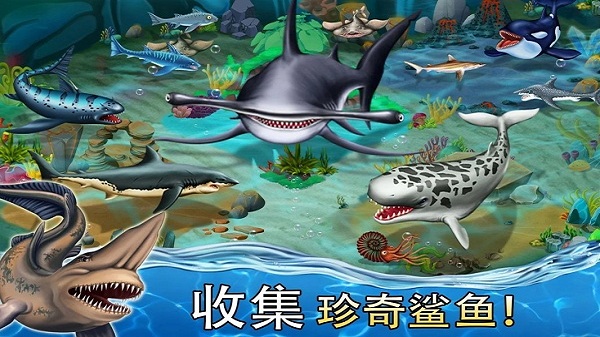 鲨鱼世界修改版(2)