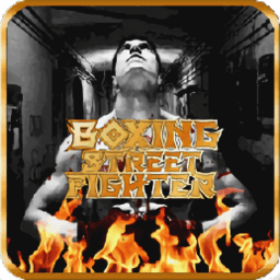街头拳击手游(Boxing Street Fighter) v1.7 安卓版