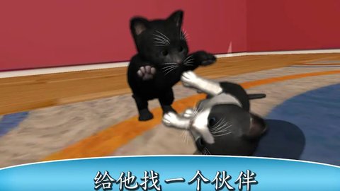 亲吻猫咪手游v1.2 安卓版(3)