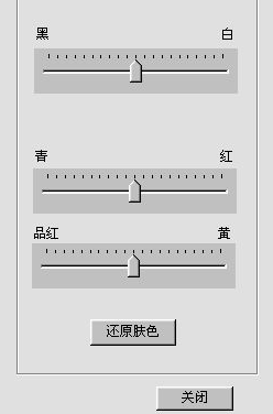 刑事模拟画像专家