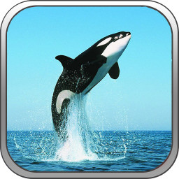 我的世界海洋公园vr版 v5.8 安卓版