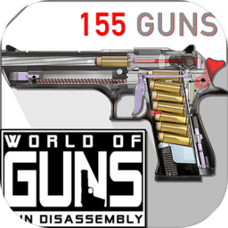 world of guns中文版 v2.2.2a8