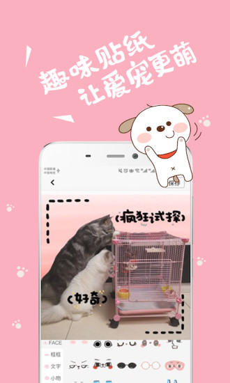 猫语狗语翻译器软件(4)