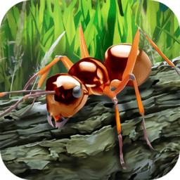 蚂蚁生存模拟器无限金币版