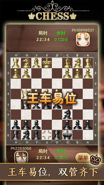 天梨国际象棋中文版(3)
