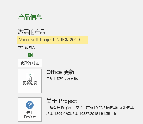 project2019软件