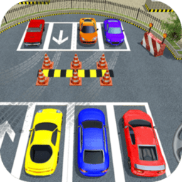 真实模拟停车最新版 v1.0 安卓版