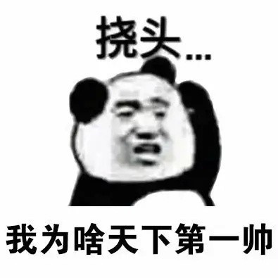 熊猫挠头表情包原图高清版(1)