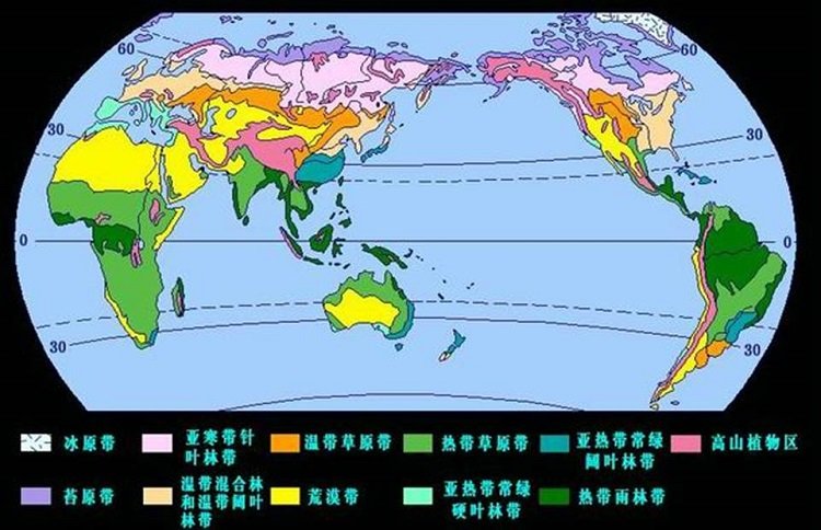 世界气候类型分布图高清版大图(1)