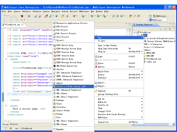 javastruts代码生成器绿色版