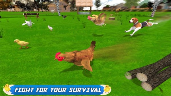 母鸡模拟器游戏v1.09 安卓版(3)