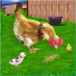 母鸡模拟器游戏